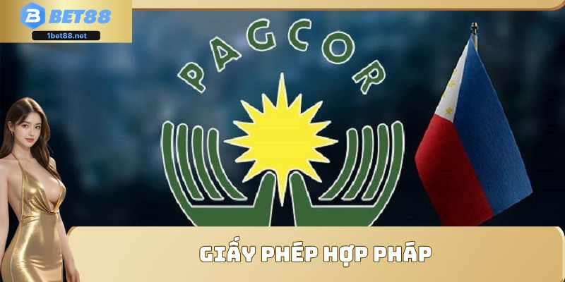 Những giấy phép hợp pháp mà đơn vị hiện đang sở hữu