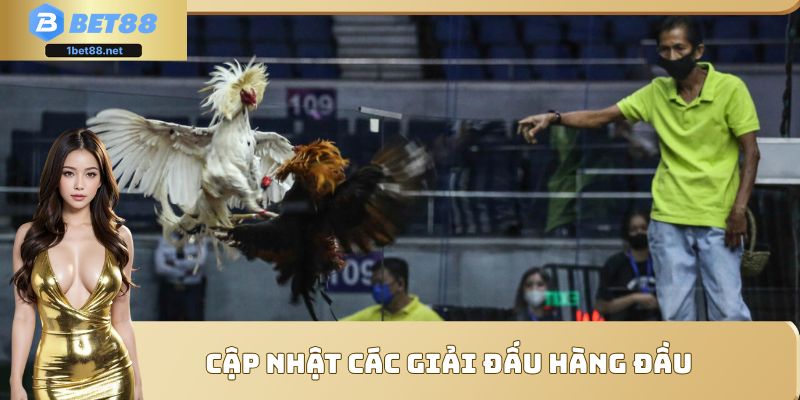 Cập nhật các giải đấu hàng đầu