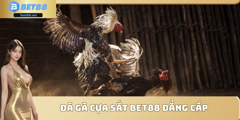 Đá gà cựa sắt Bet88 đẳng cấp
