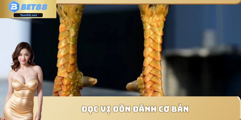 Đọc vị đòn đánh cơ bản